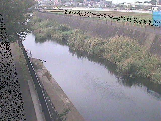 浅山橋付近のカメラ画像