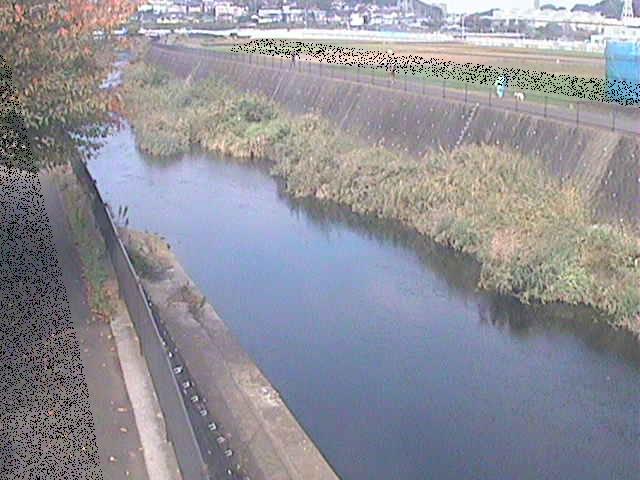 浅山橋付近のカメラ画像