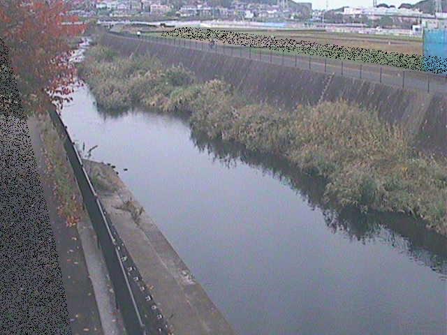 浅山橋付近のカメラ画像