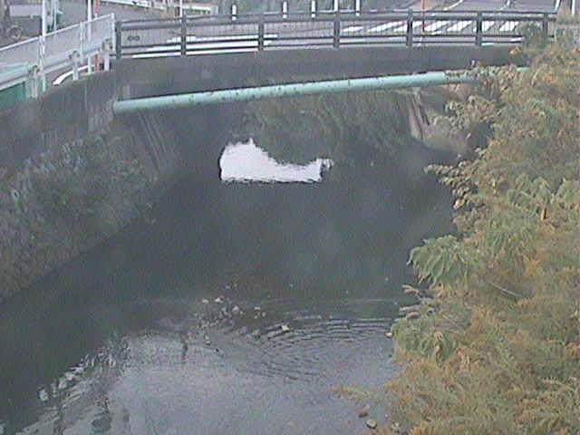 六浦二号付近のカメラ画像