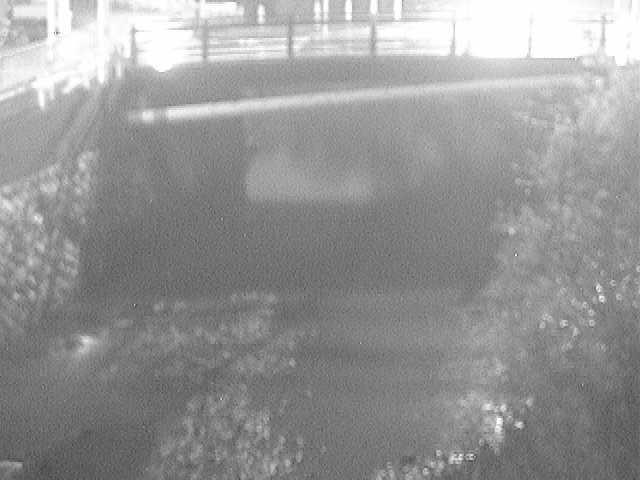 侍従川 六浦二号付近のカメラ画像