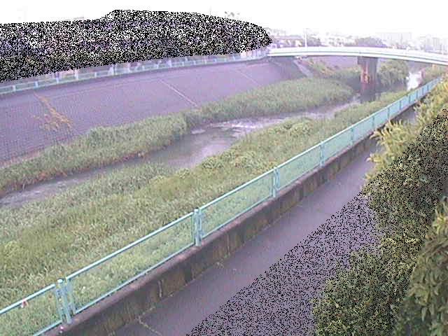 高田橋付近のカメラ画像