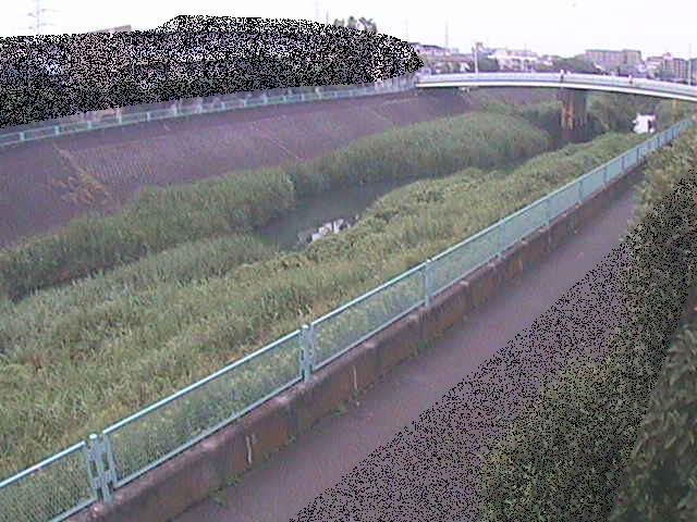 高田橋付近のカメラ画像