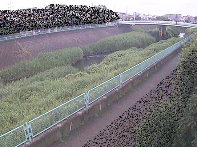 高田橋付近のカメラ画像