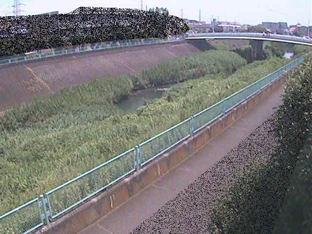早淵川 高田橋付近のカメラ画像