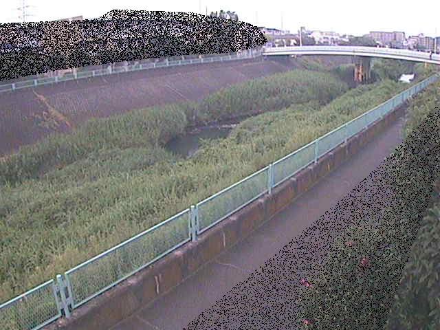 高田橋付近のカメラ画像
