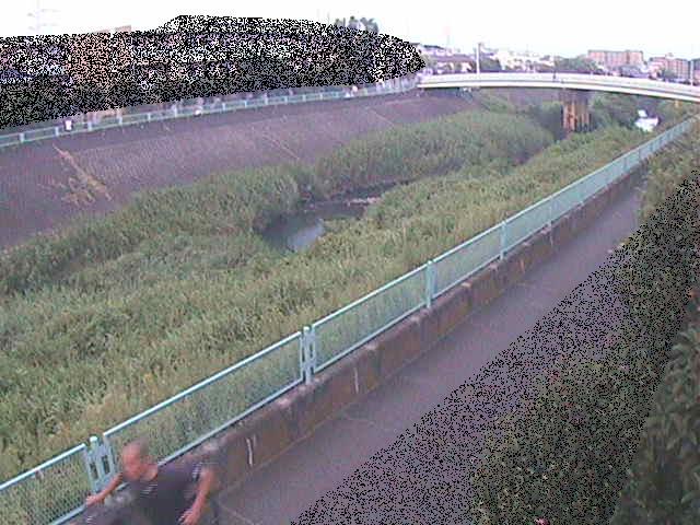 早淵川 高田橋付近のカメラ画像