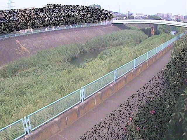 高田橋付近のカメラ画像