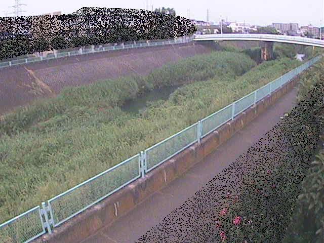 早淵川 高田橋付近のカメラ画像