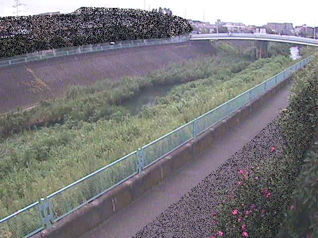 早淵川 高田橋付近のカメラ画像