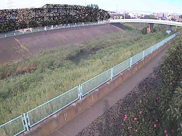 早淵川 高田橋付近のカメラ画像