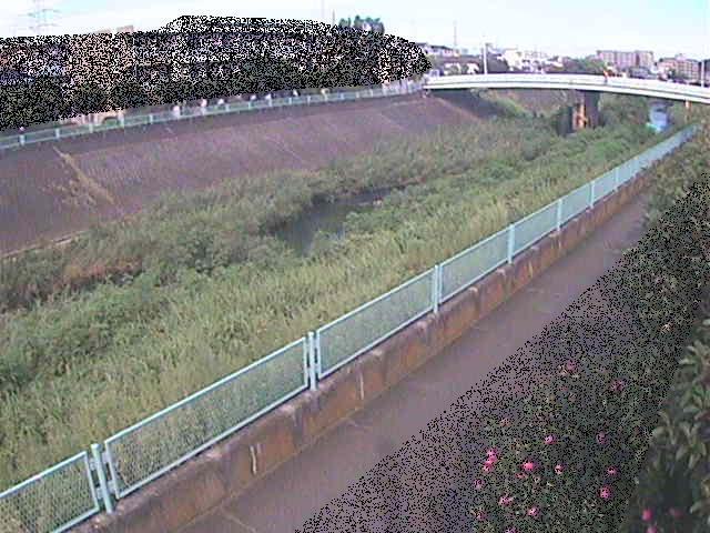 高田橋付近のカメラ画像
