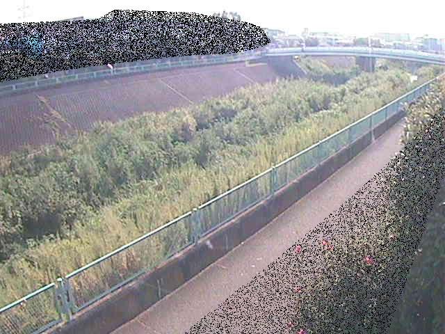 早淵川 高田橋付近のカメラ画像