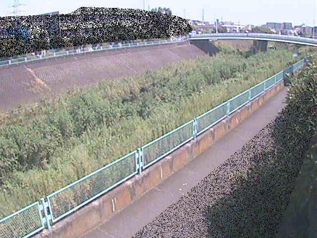 高田橋付近のカメラ画像