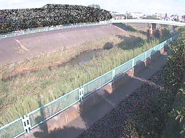 高田橋付近のカメラ画像