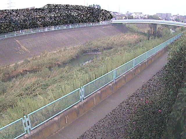 早淵川 高田橋付近のカメラ画像