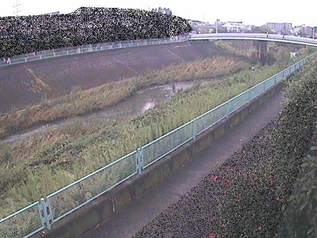 高田橋付近のカメラ画像
