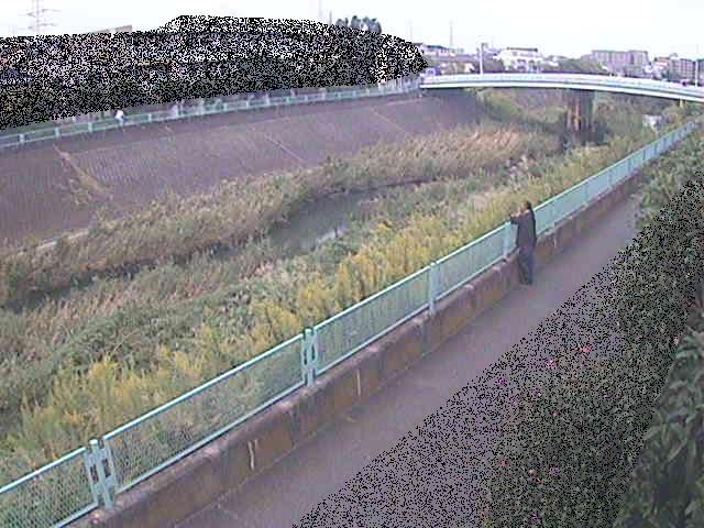 早淵川 高田橋付近のカメラ画像