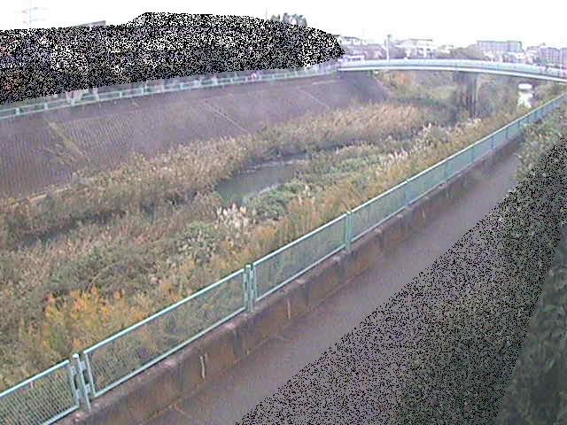 高田橋付近のカメラ画像