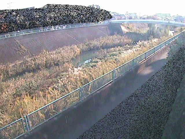 高田橋付近のカメラ画像