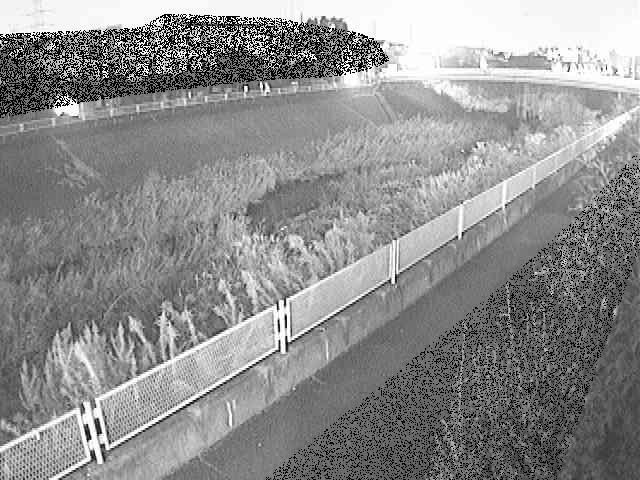 早淵川 高田橋付近のカメラ画像