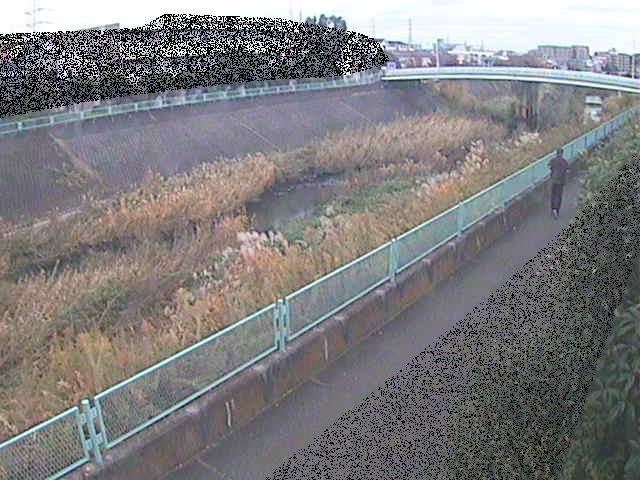 高田橋付近のカメラ画像