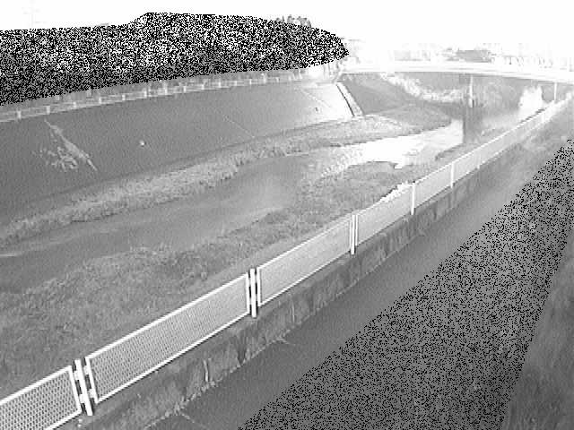 早淵川 高田橋付近のカメラ画像