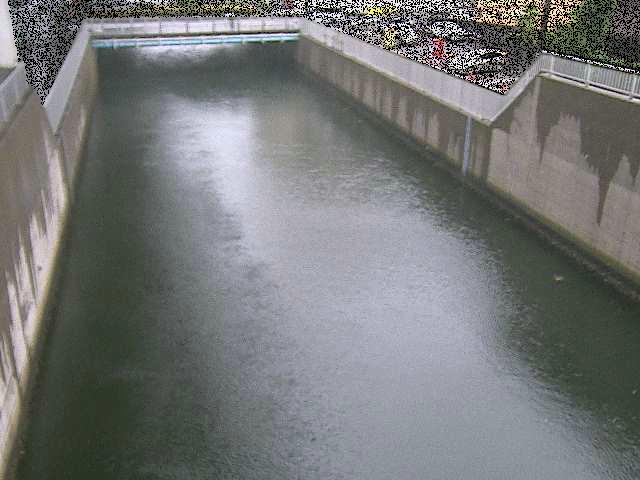屏風ヶ浦橋付近のカメラ画像