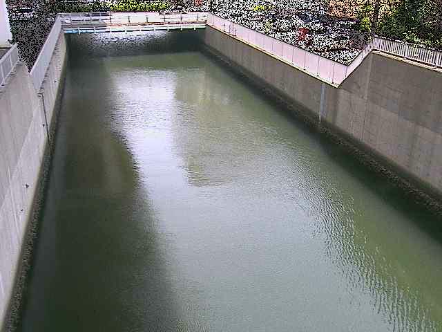 大岡川分水路 屏風ヶ浦橋付近のカメラ画像