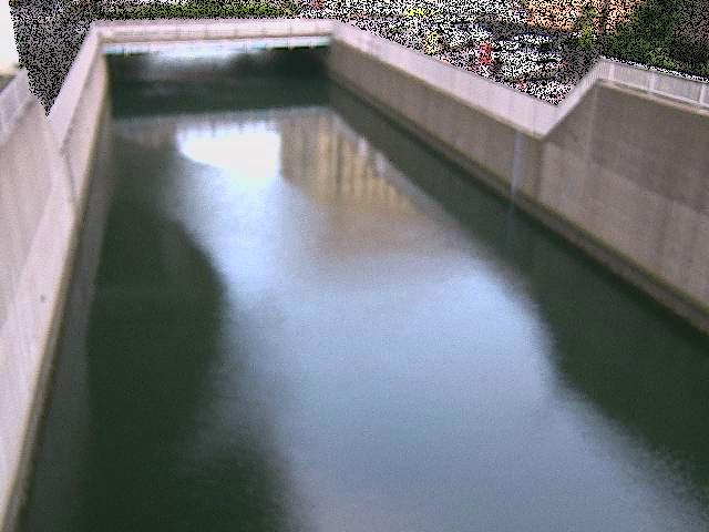大岡川分水路 屏風ヶ浦橋付近のカメラ画像
