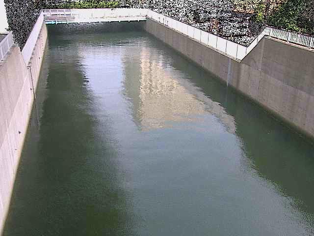 大岡川分水路 屏風ヶ浦橋付近のカメラ画像