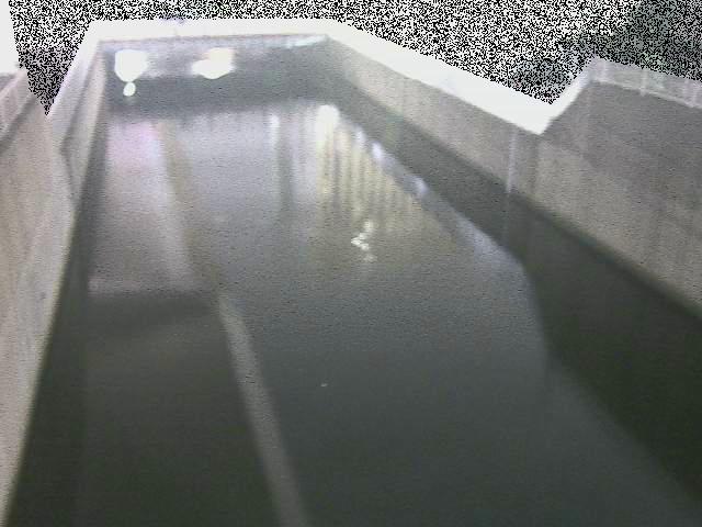 大岡川分水路 屏風ヶ浦橋付近のカメラ画像