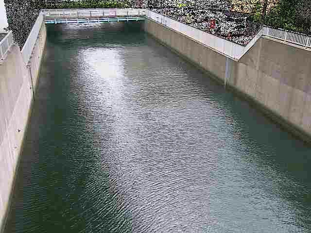 大岡川分水路 屏風ヶ浦橋付近のカメラ画像