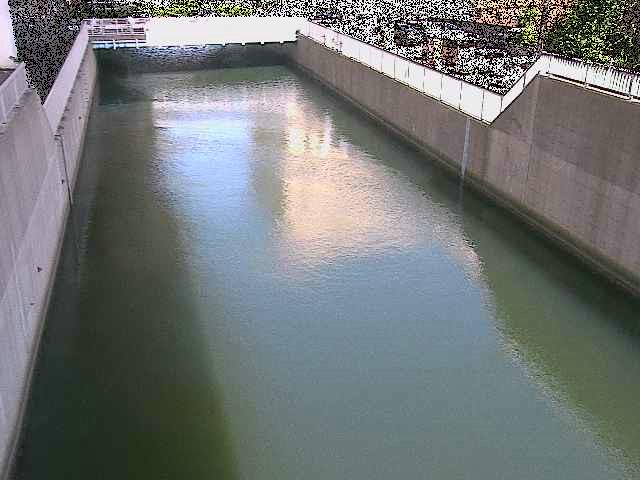 大岡川分水路 屏風ヶ浦橋付近のカメラ画像