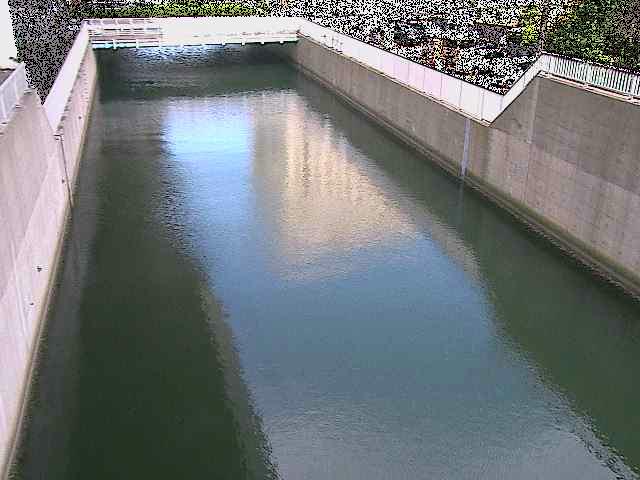大岡川分水路 屏風ヶ浦橋付近のカメラ画像