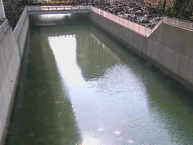 大岡川分水路 屏風ヶ浦橋付近のカメラ画像