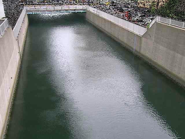 大岡川分水路 屏風ヶ浦橋付近のカメラ画像