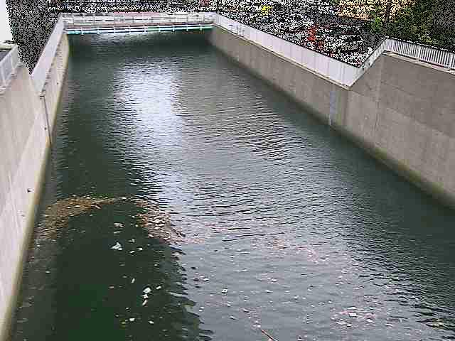 大岡川分水路 屏風ヶ浦橋付近のカメラ画像