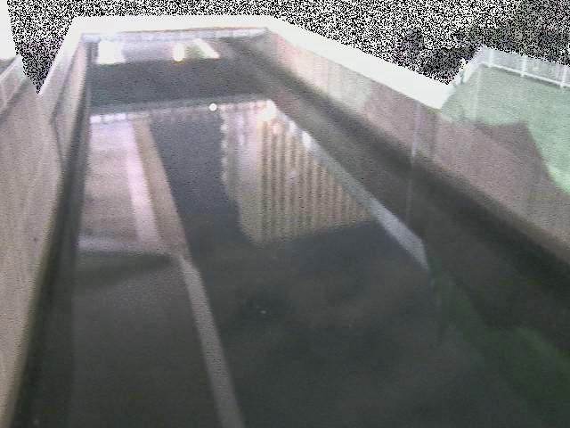 大岡川分水路 屏風ヶ浦橋付近のカメラ画像