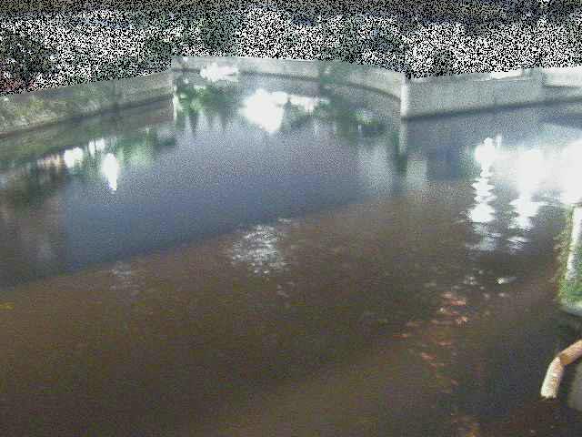 中村川 蒔田公園付近のカメラ画像