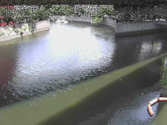 中村川 蒔田公園付近のカメラ画像