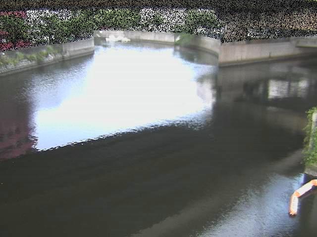 中村川 蒔田公園付近のカメラ画像