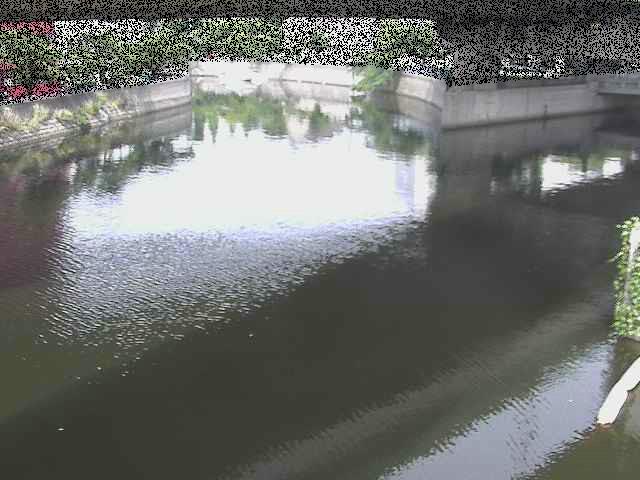 中村川 蒔田公園付近のカメラ画像
