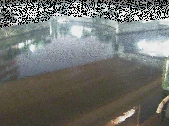 中村川 蒔田公園付近のカメラ画像