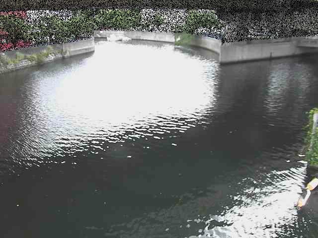 中村川 蒔田公園付近のカメラ画像