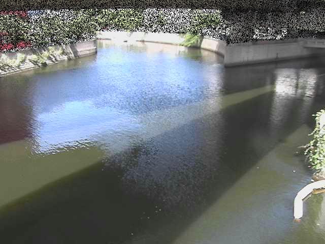 中村川 蒔田公園付近のカメラ画像