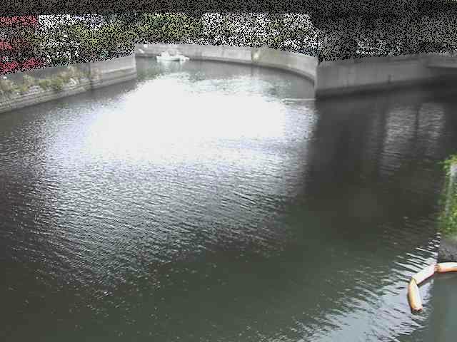 中村川 蒔田公園付近のカメラ画像