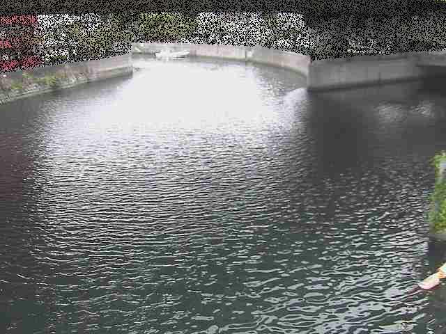 中村川 蒔田公園付近のカメラ画像