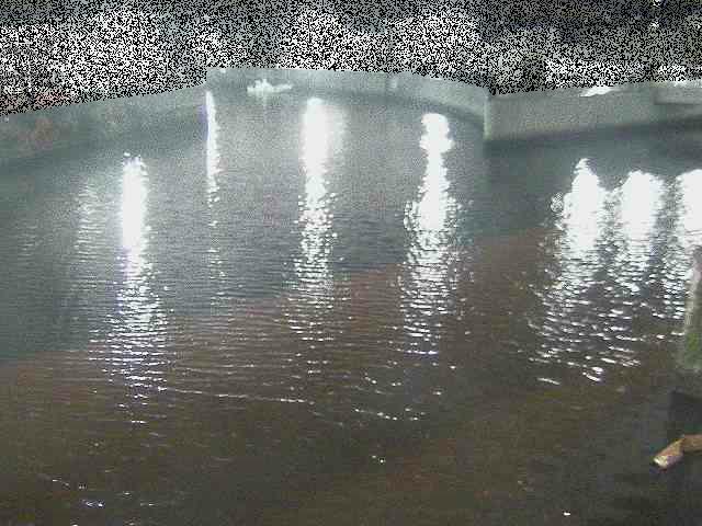 中村川 蒔田公園付近のカメラ画像