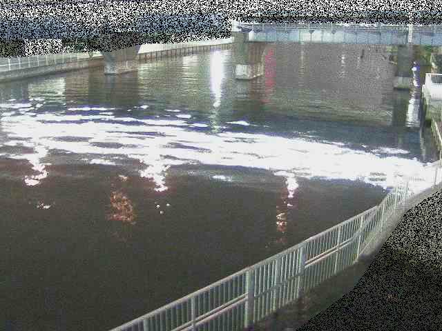 堀割川付近のカメラ画像